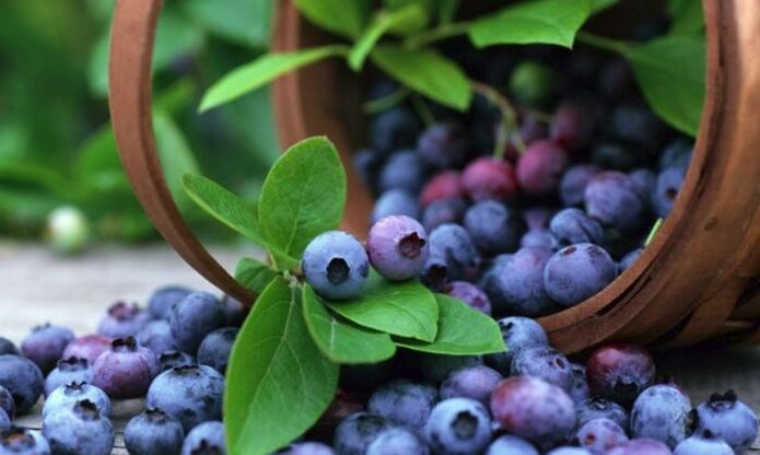 Ang mga blueberry usa ka sikat nga berry nga epektibo nga nagpauswag sa visual acuity. 